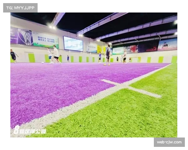 球迷体验设计理念：现代球馆如何满足多样化观赛需求